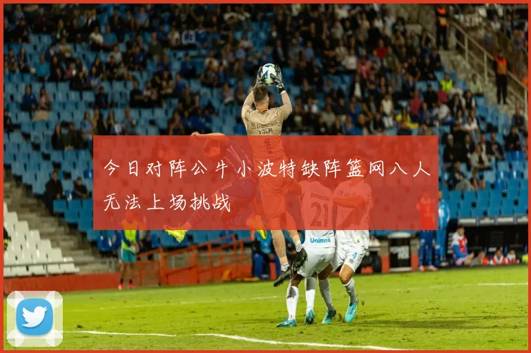 今日对阵公牛小波特缺阵篮网八人无法上场挑战