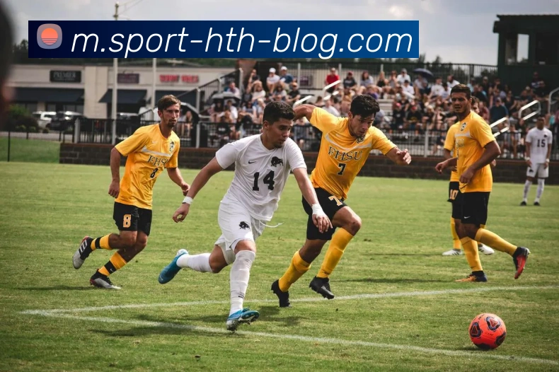 华体会体育品牌故事